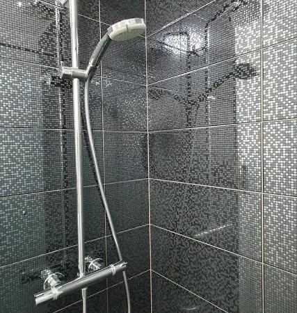 Apartment Alpska Astra *