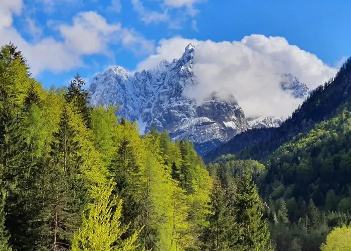 Alpska Astra Apartma