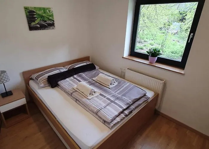 Alpska Astra Apartma Kranjska Gora